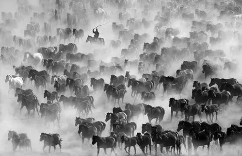 追夢這五年，梧州文藝且歌且行——文藝創作篇