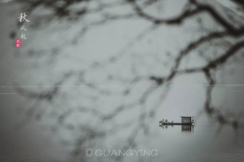 光影俱樂部創(chuàng)作班 在文學(xué)與藝術(shù)的交匯處探索文藝創(chuàng)作